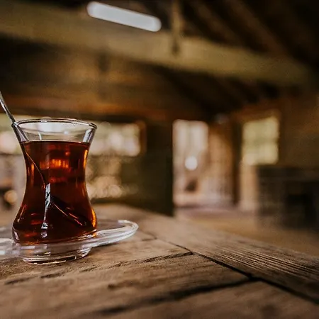 Karinna Orman Evleri & Non Alcohol Hytte